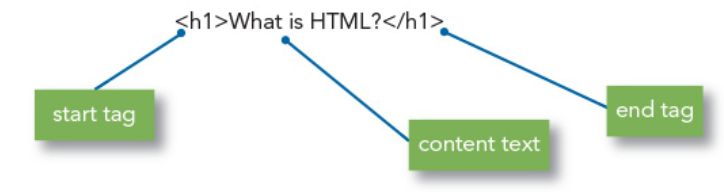 Element composition of the H1 tag.